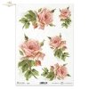 retro, róże, bukiet różany, bukiety, kwiaty róży, gałązki różane, pąki, pączki, liście, listki, ogród, retro, roses, bouquets, rose flowers, rose branches, buds, leaves, foliage, garden, Retro, Rosen, Rosenstrauß, Sträuße
